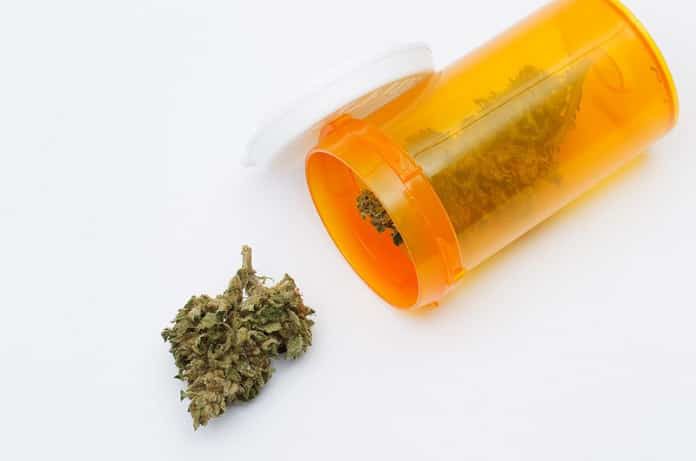 You are currently viewing Medical Marijuana: Friend or Foe?