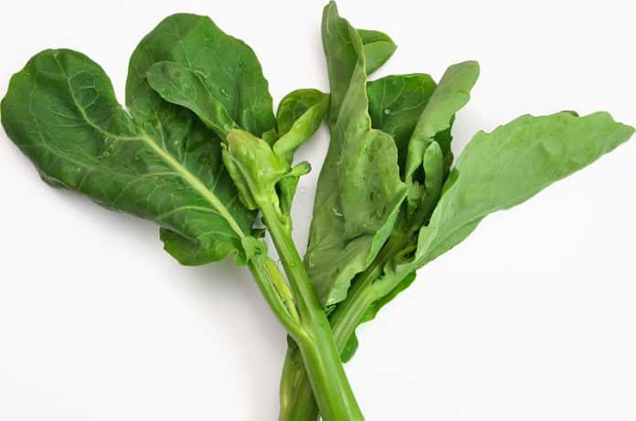 Read more about the article Vitamin K’s Role in Bone Health