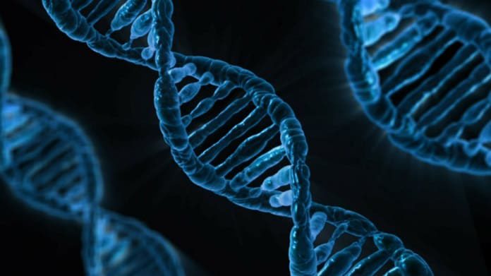 Read more about the article Germline Mutation Status of BCRA Gene May Impact Treatment Regimens