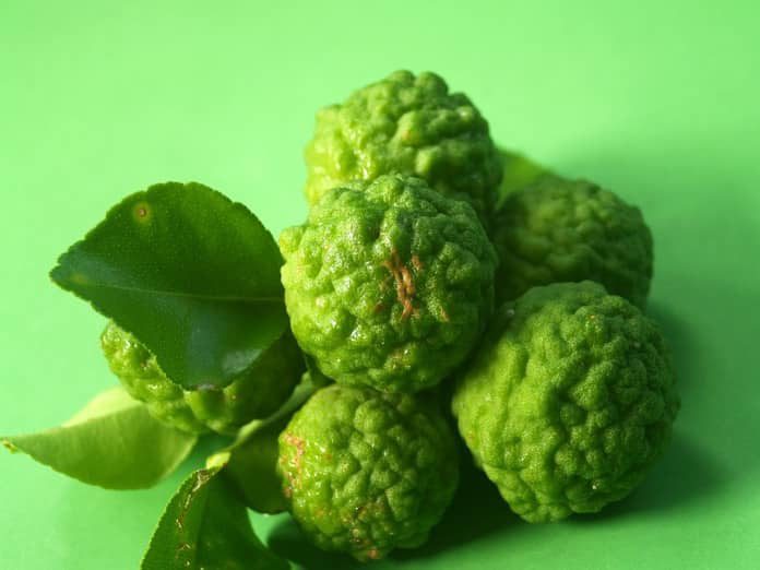 Read more about the article Can Dyslipidemia be Treated with Bergamot?