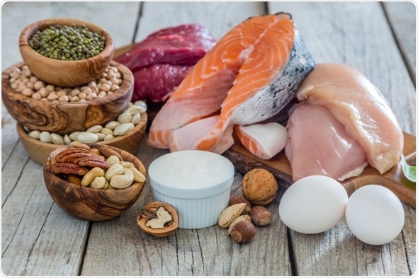Read more about the article CSIRO study urges Australians to avoid junk protein foods for healthy weight loss