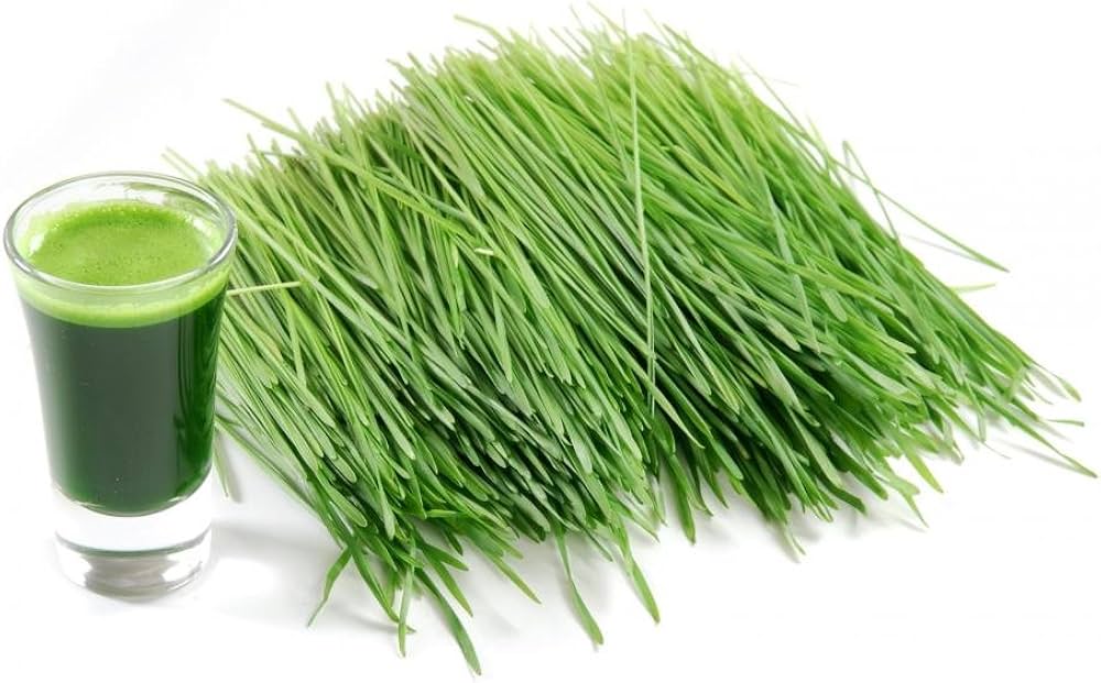 10 Drinks That May Slow Aging: What Science Actually Says 2 Juices made from leafy greens and microgreens provide nitrates, antioxidants, and phytonutrients that support vascular health and mitochondrial function.